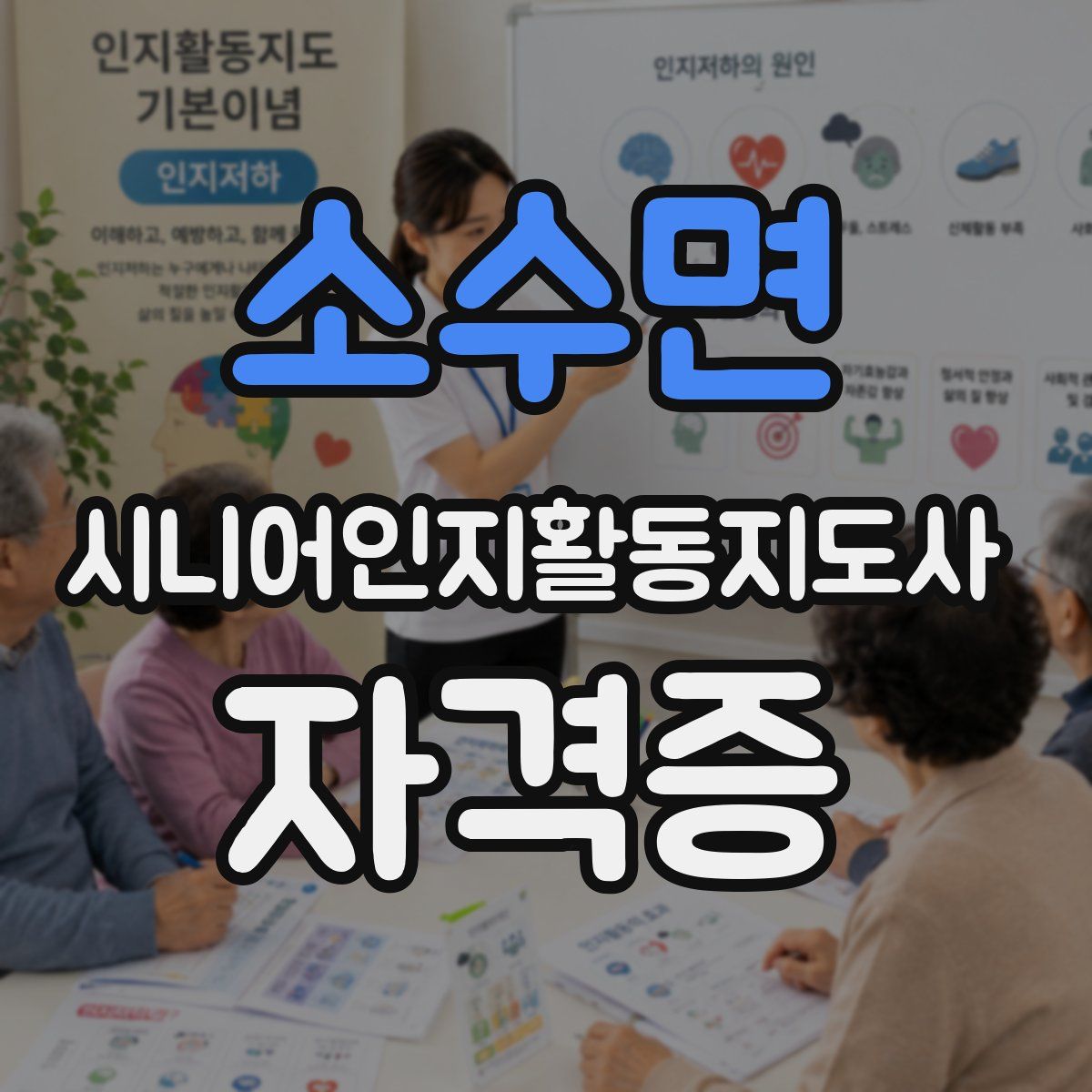 소수면 시니어인지활동지도사 자격증