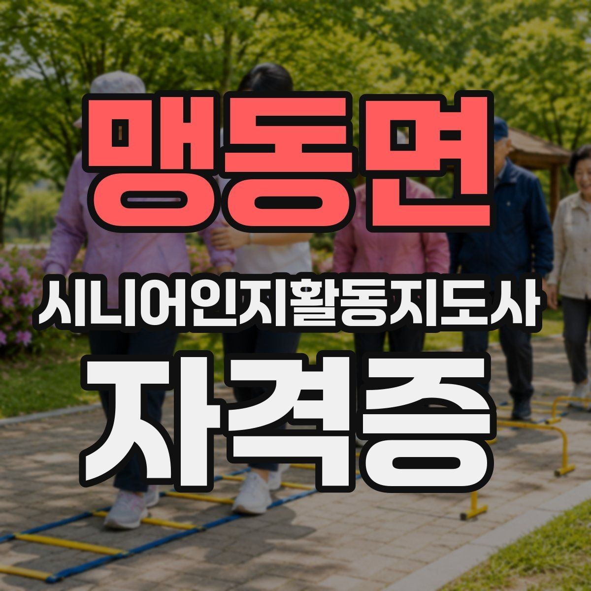 맹동면 시니어인지활동지도사 자격증 과정별 특징과 차이점