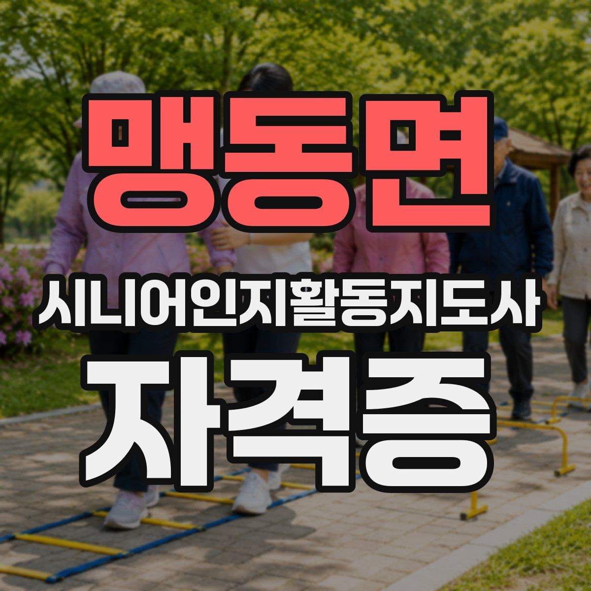 맹동면 시니어인지활동지도사 자격증