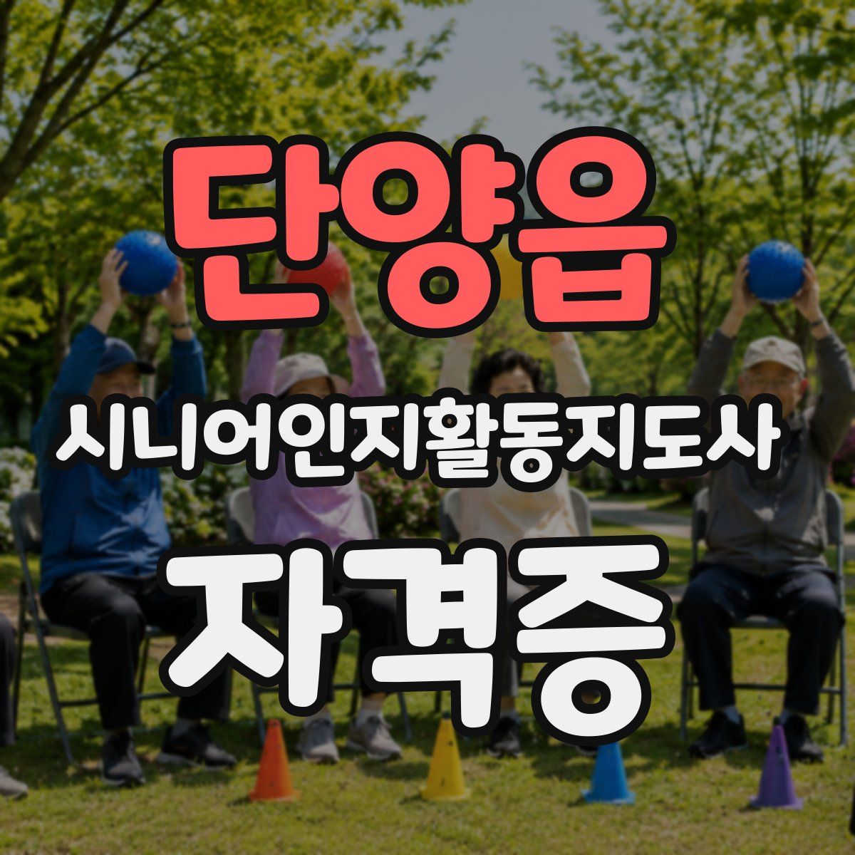 단양읍 시니어인지활동지도사 자격증