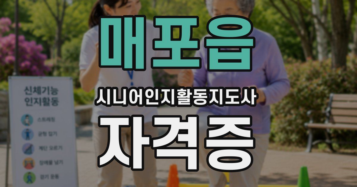 매포읍 시니어인지활동지도사 자격증