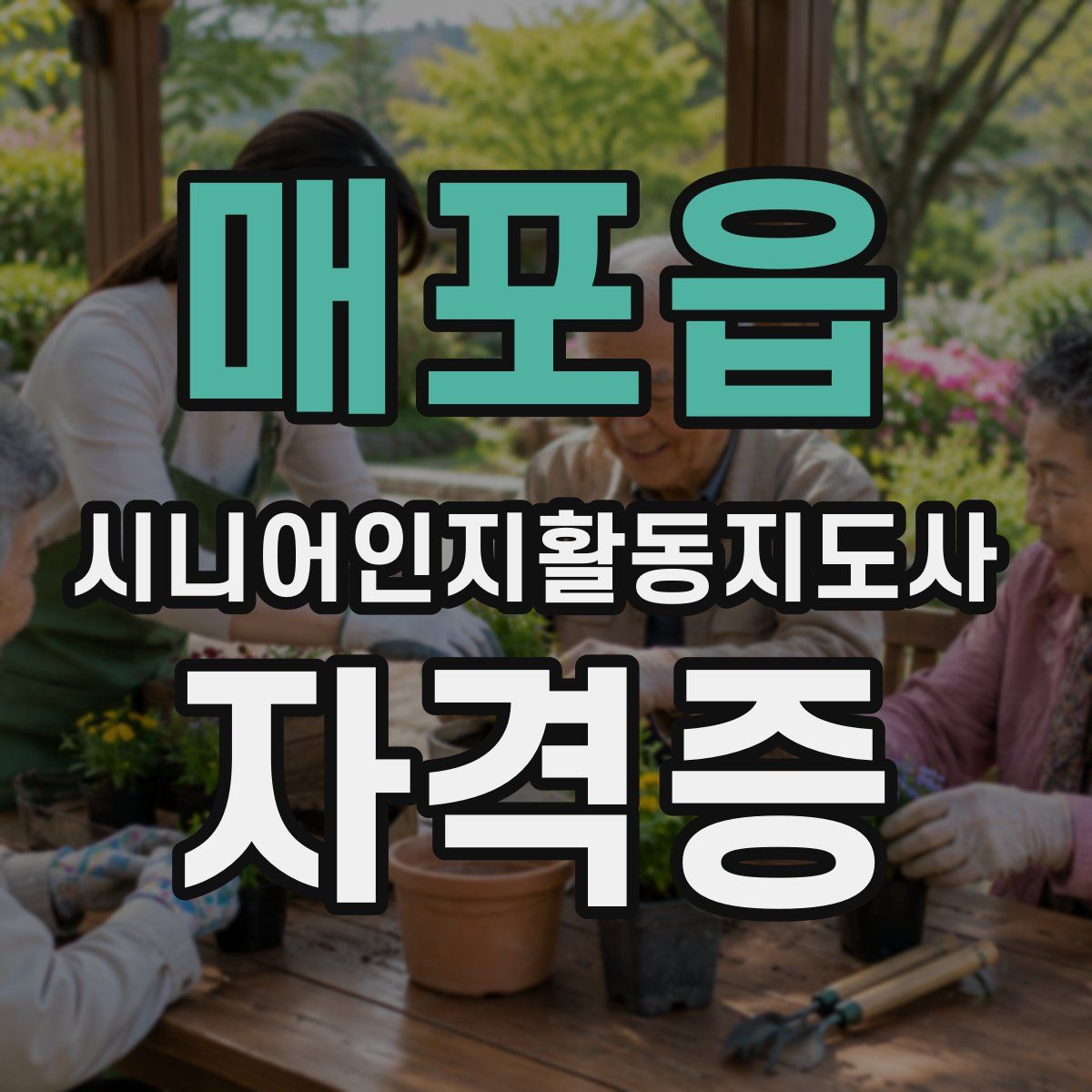 매포읍 시니어인지활동지도사 자격증