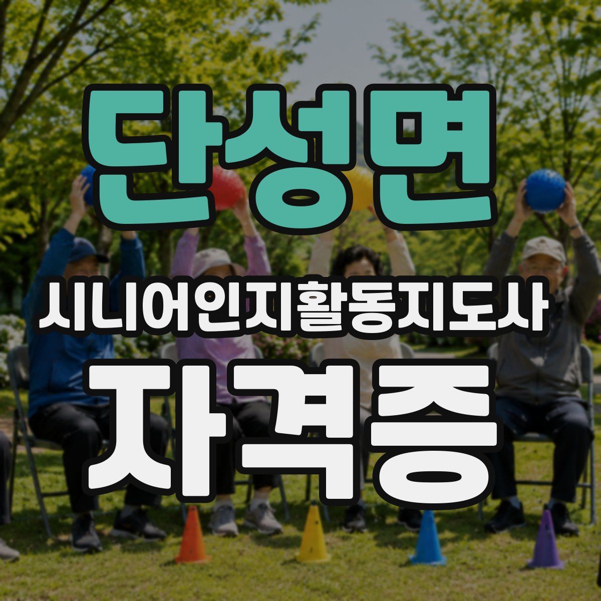 단성면 시니어인지활동지도사 자격증