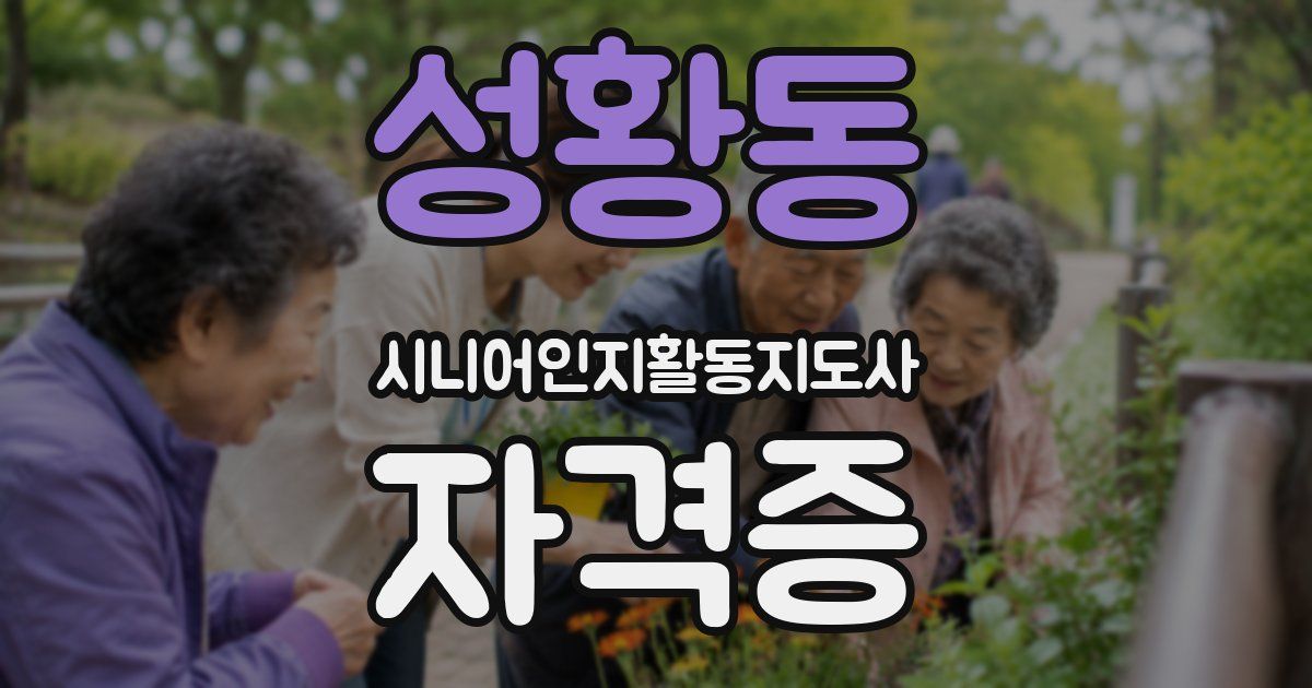 성황동 시니어인지활동지도사 자격증