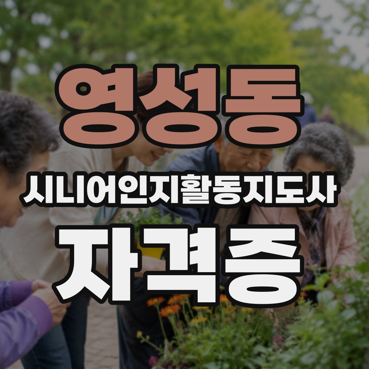 영성동 시니어인지활동지도사 자격증