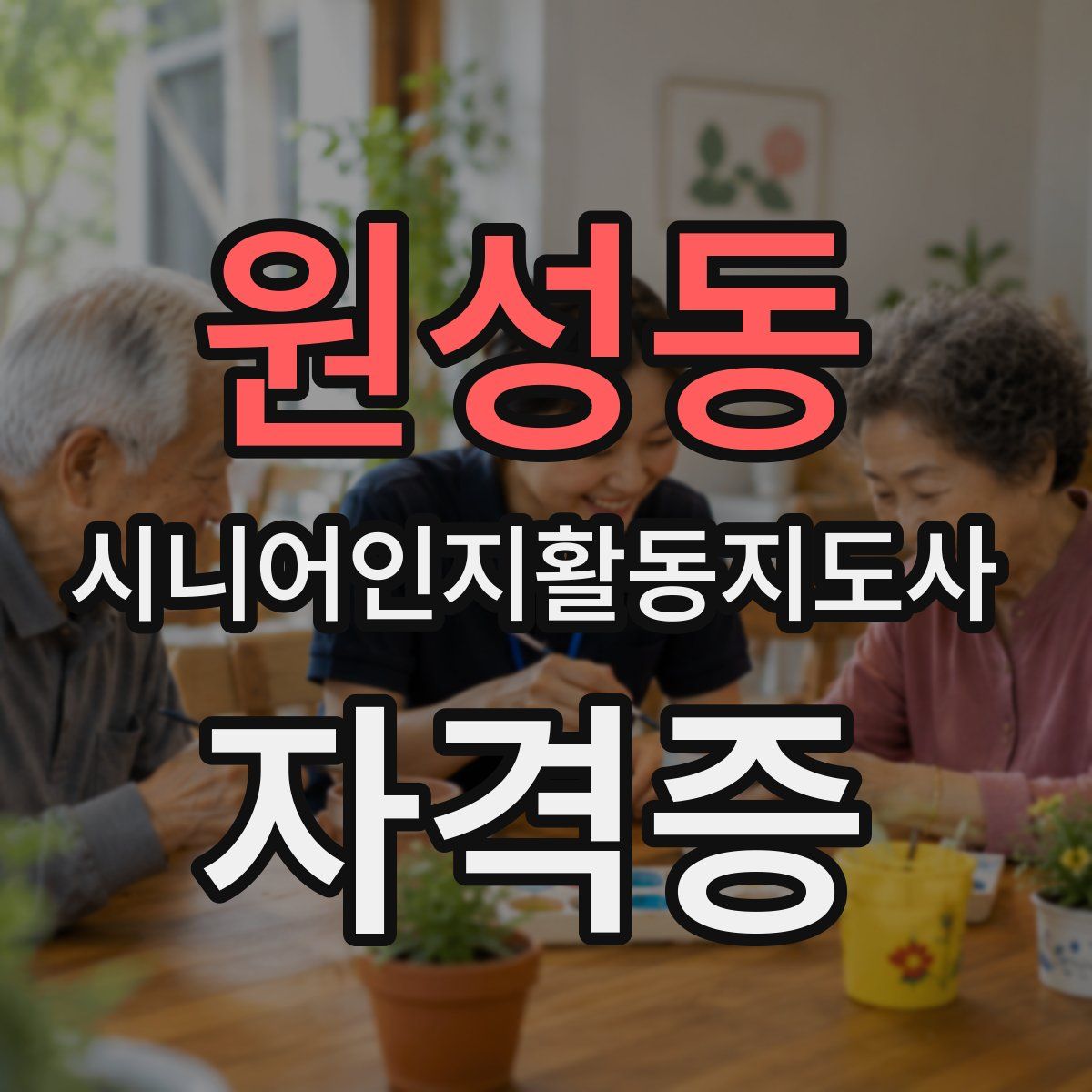 원성동 시니어인지활동지도사 자격증
