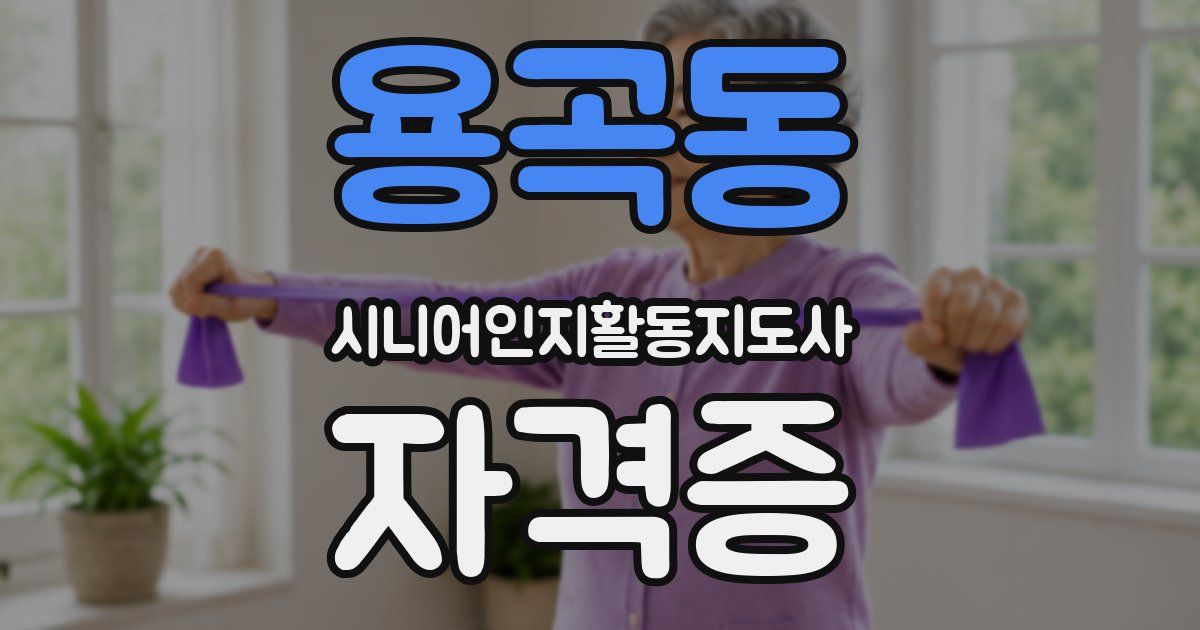 용곡동 시니어인지활동지도사 자격증