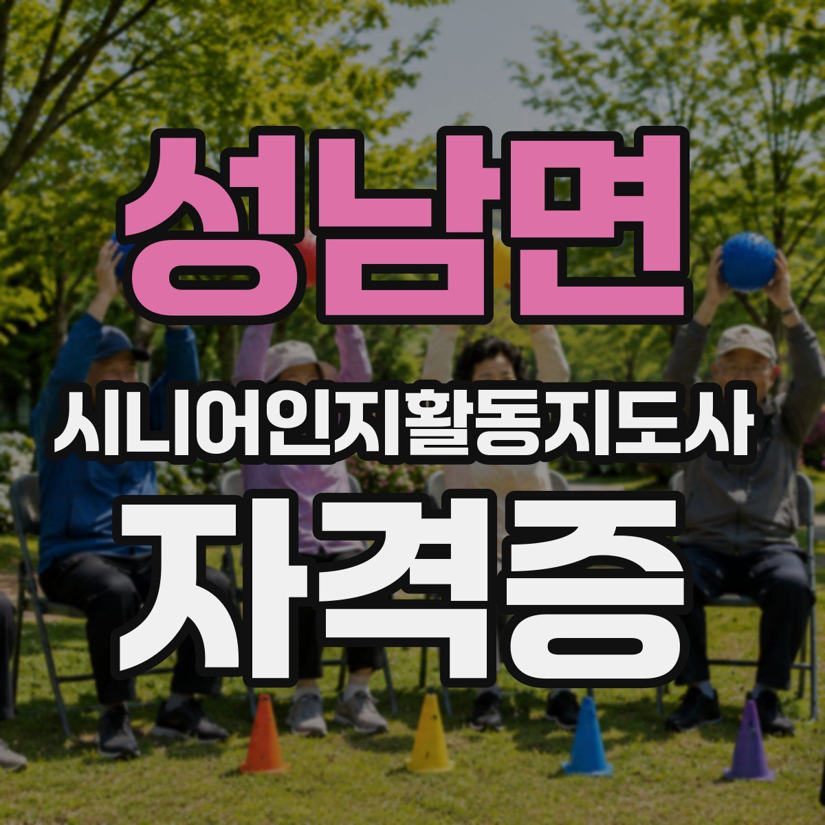 성남면 시니어인지활동지도사 자격증