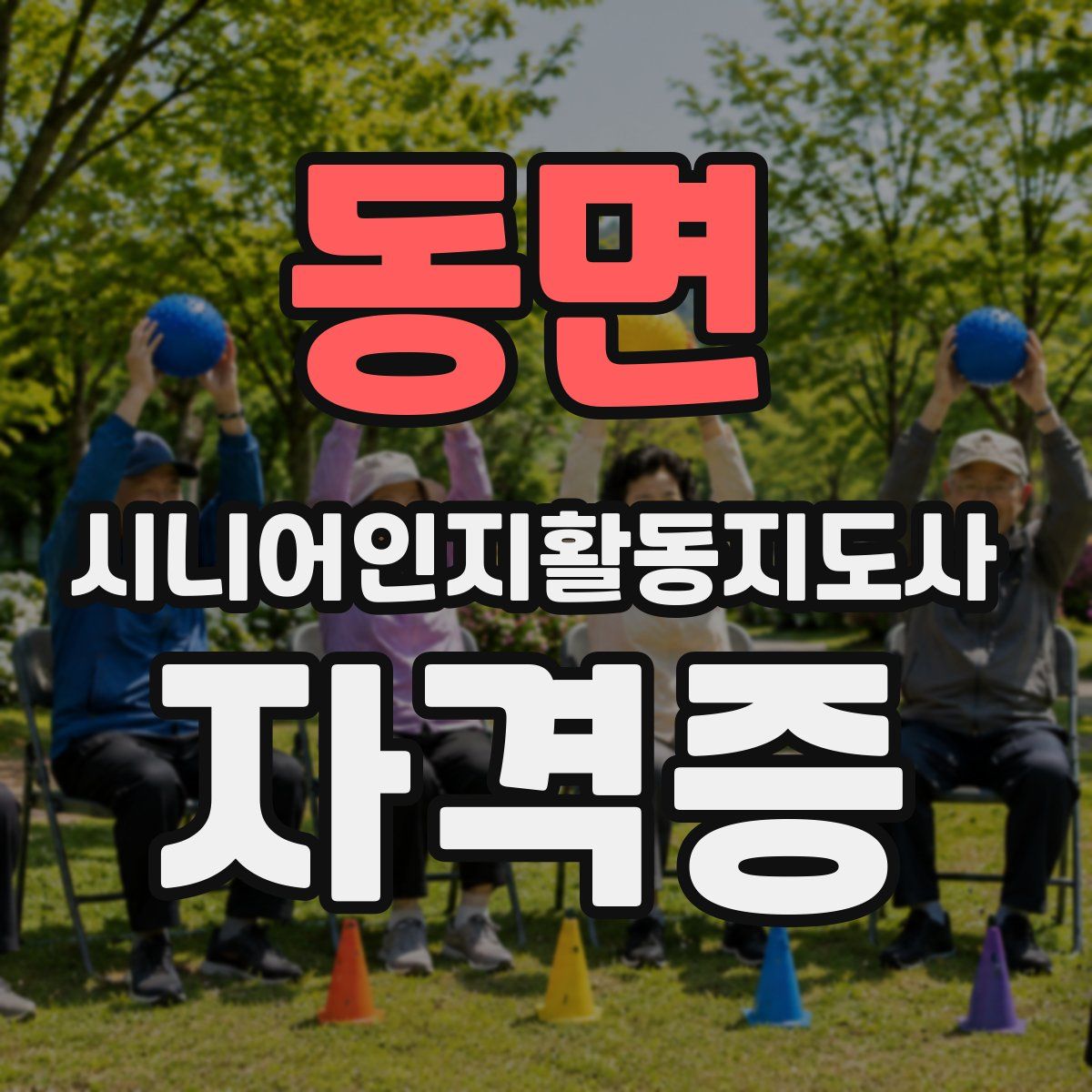 동면 시니어인지활동지도사 자격증