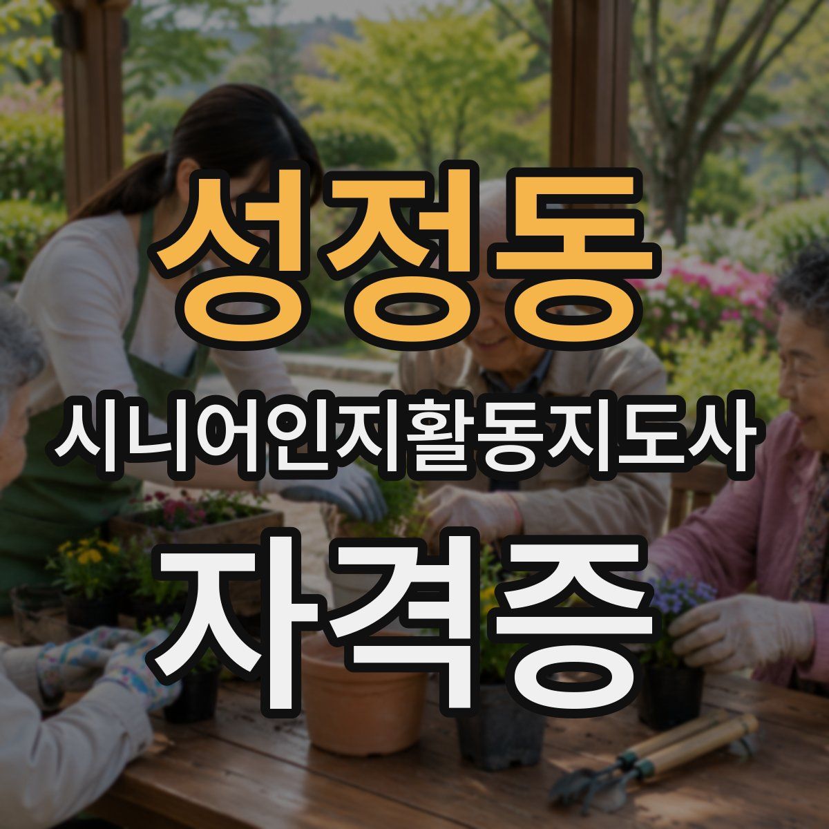 성정동 시니어인지활동지도사 자격증
