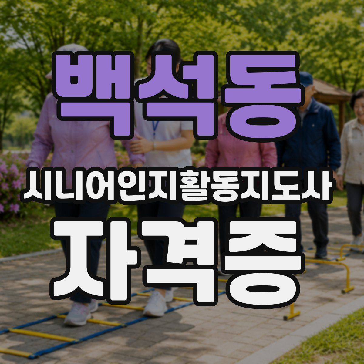 백석동 시니어인지활동지도사 자격증