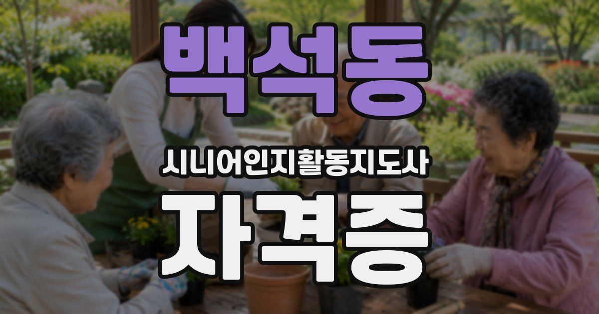 백석동 시니어인지활동지도사 자격증