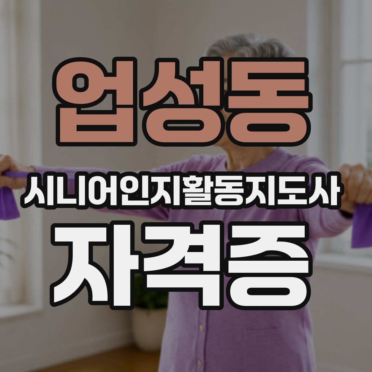 업성동 시니어인지활동지도사 자격증