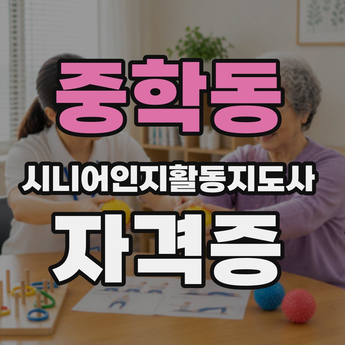 중학동 시니어인지활동지도사 자격증