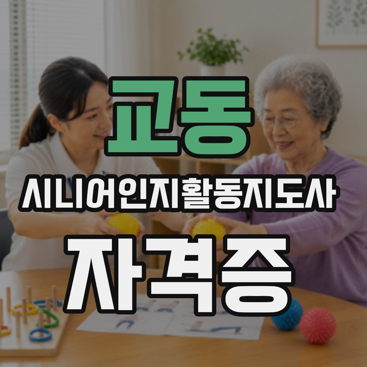 교동 시니어인지활동지도사 자격증
