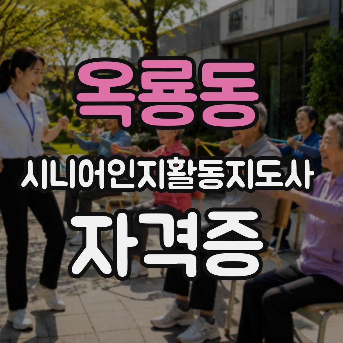 옥룡동 시니어인지활동지도사 자격증