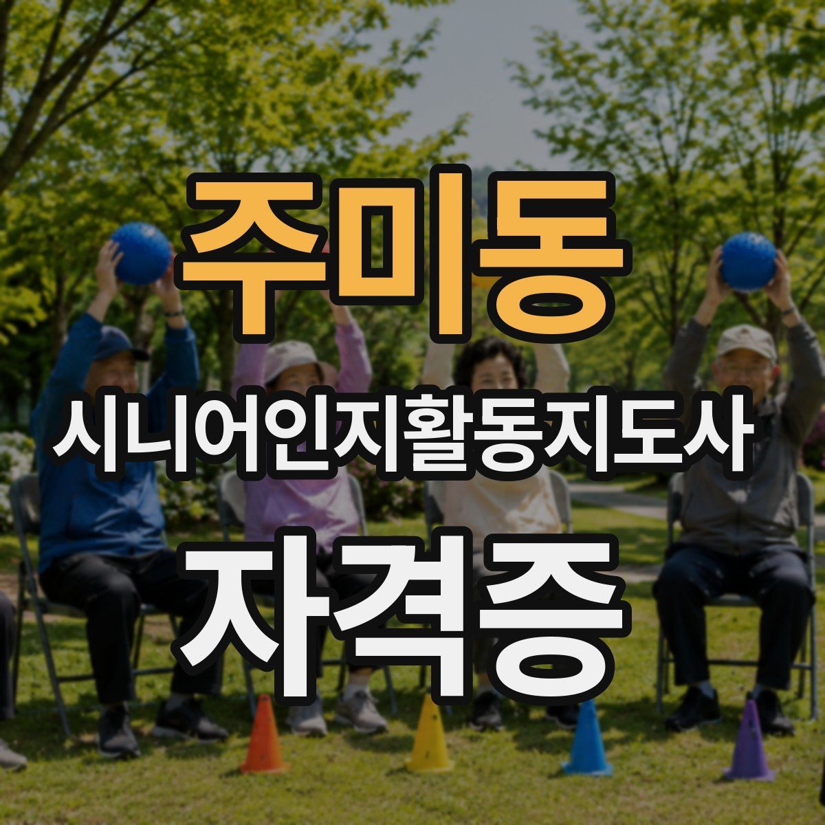 주미동 시니어인지활동지도사 자격증