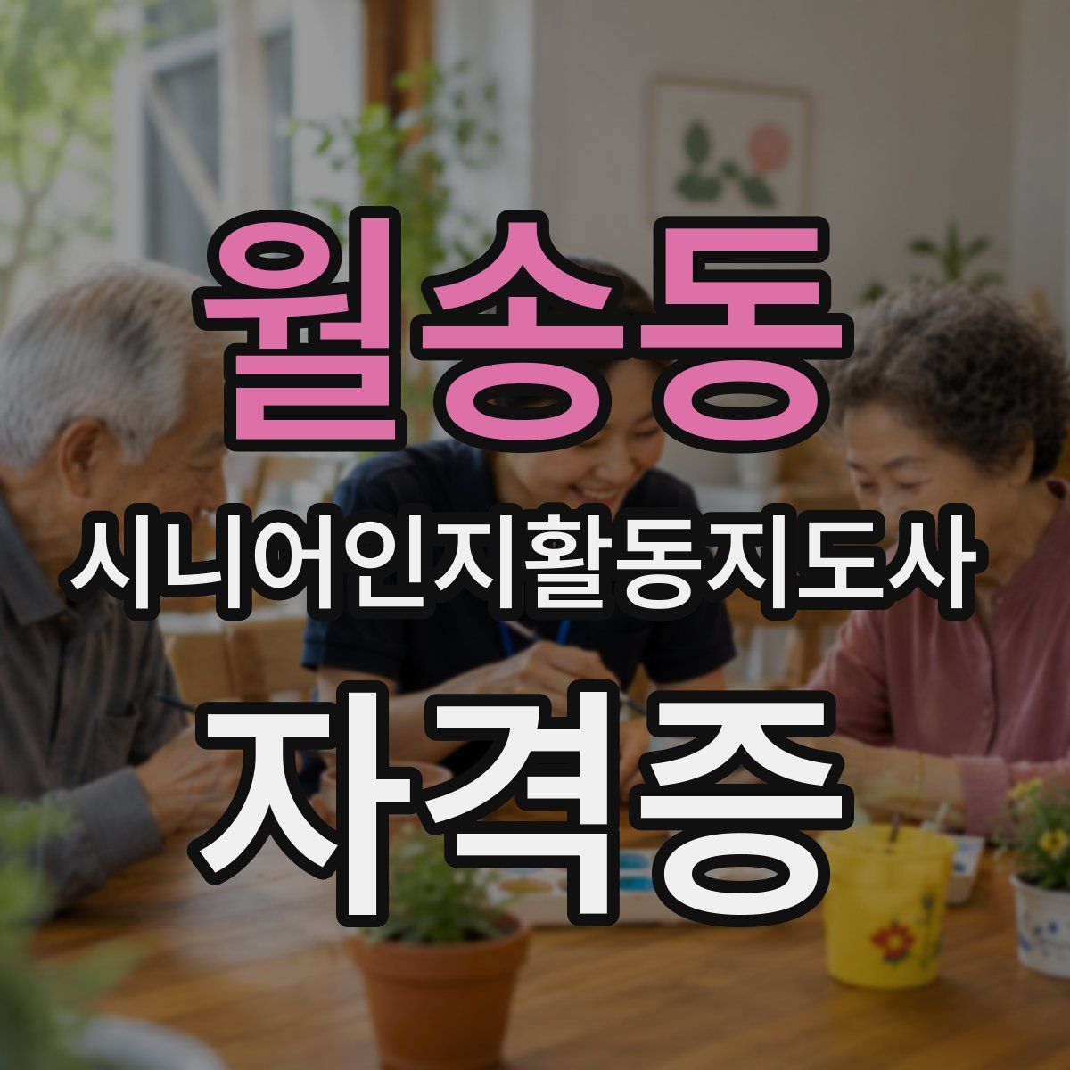 월송동 시니어인지활동지도사 자격증
