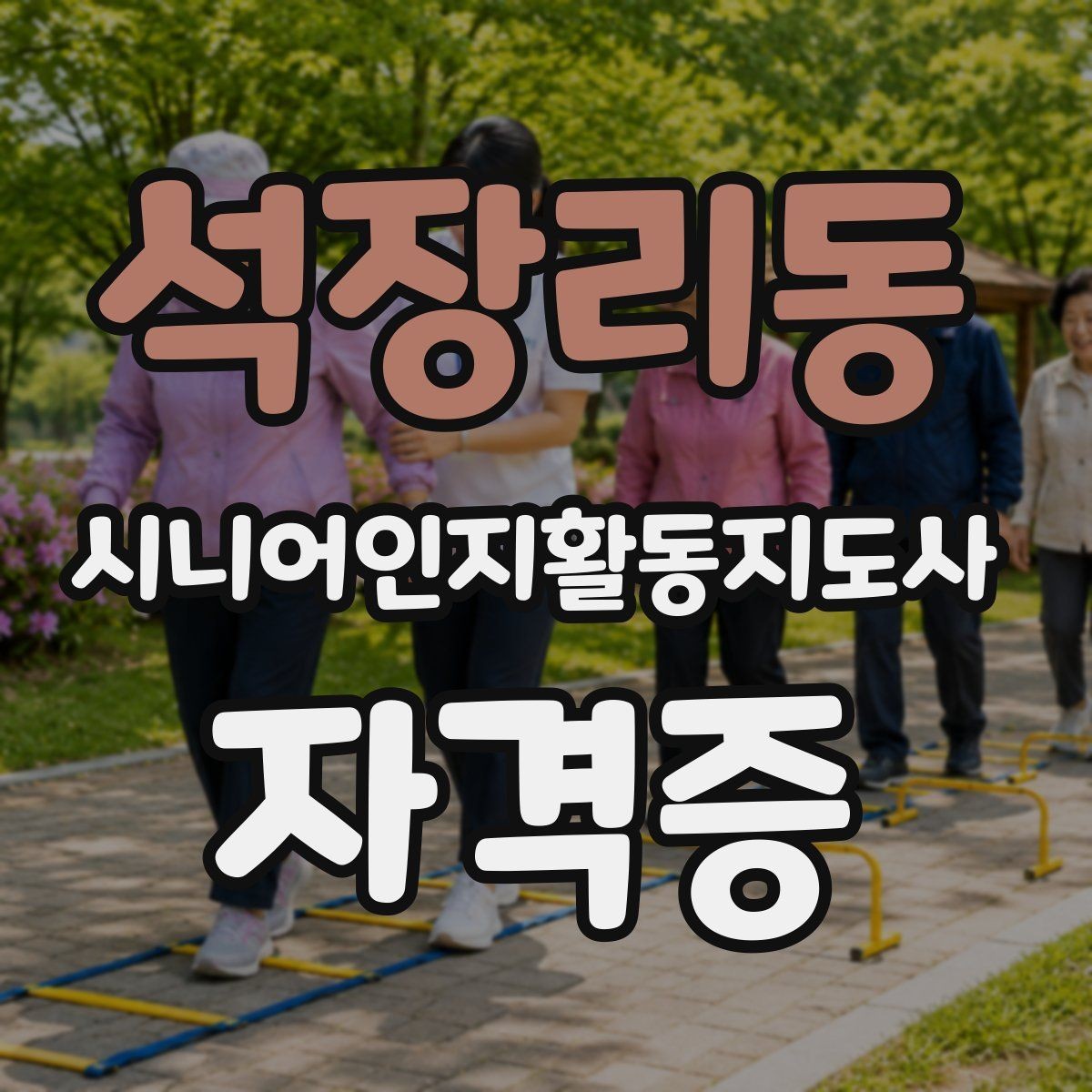 석장리동 시니어인지활동지도사 자격증 교육기관 선택 팁