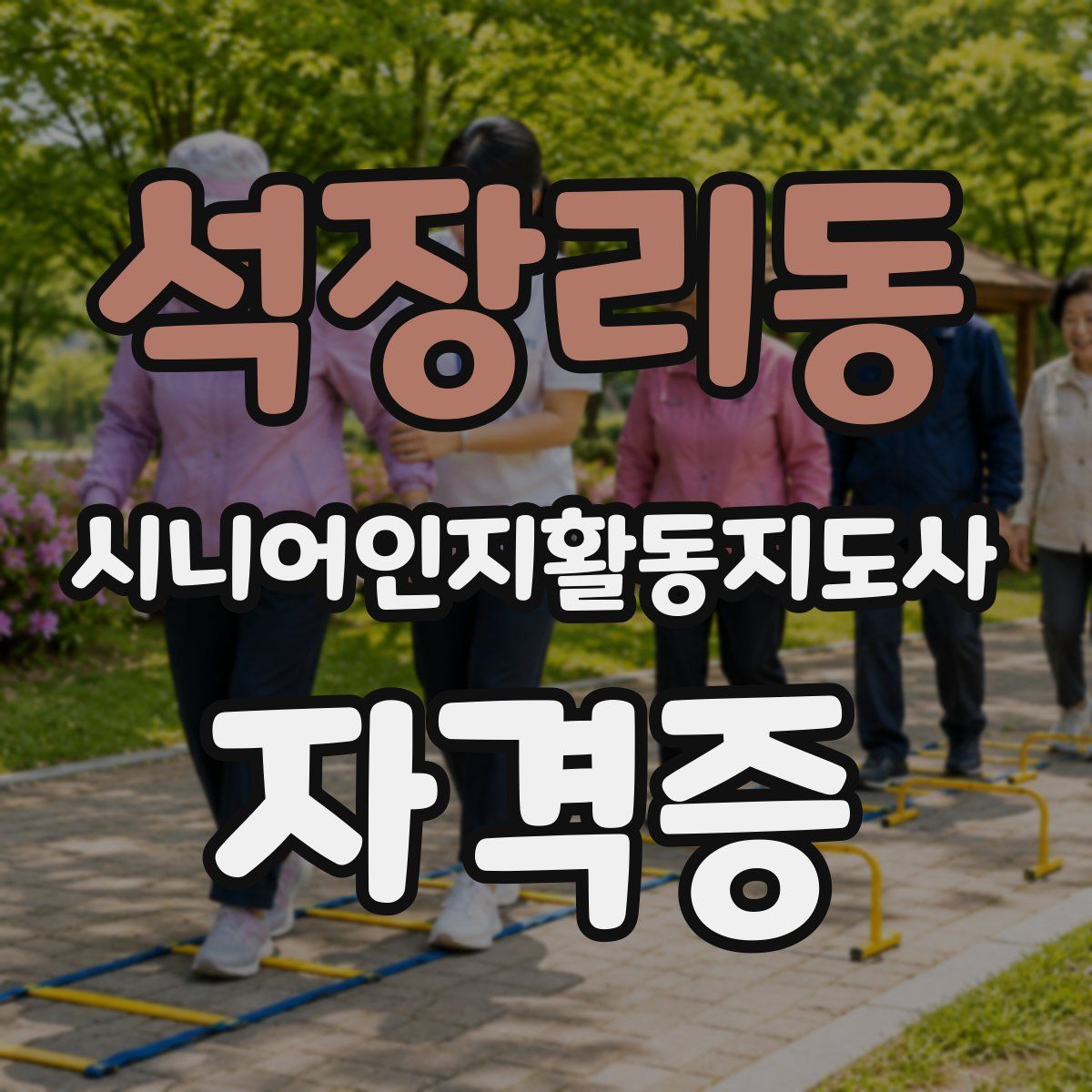 석장리동 시니어인지활동지도사 자격증