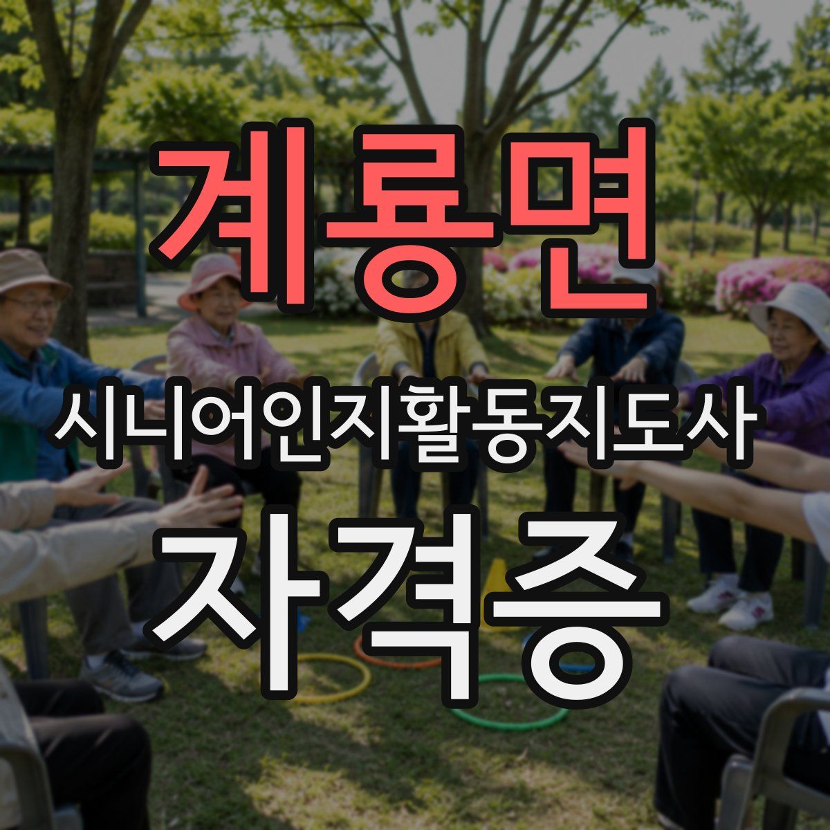 계룡면 시니어인지활동지도사 자격증