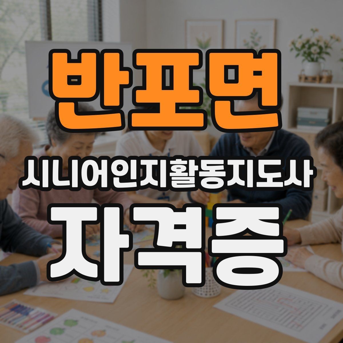 반포면 시니어인지활동지도사 자격증 민간자격 선택 시 비교 기준