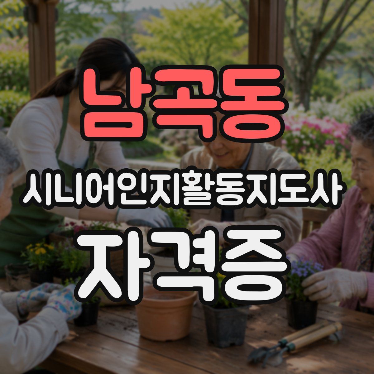 남곡동 시니어인지활동지도사 자격증