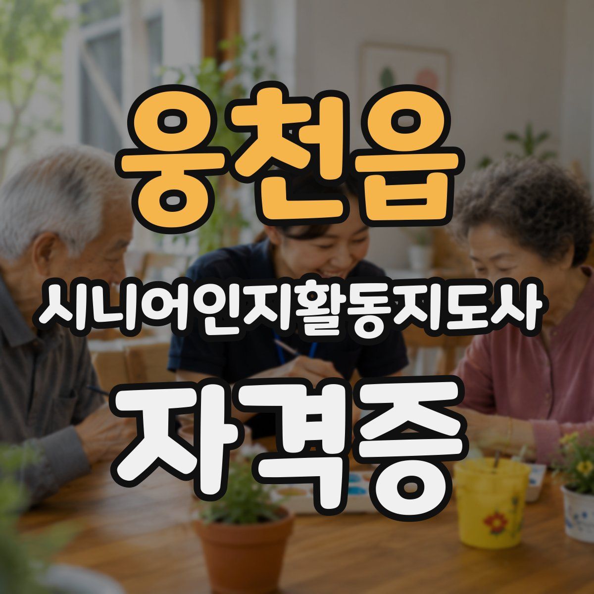 웅천읍 시니어인지활동지도사 자격증