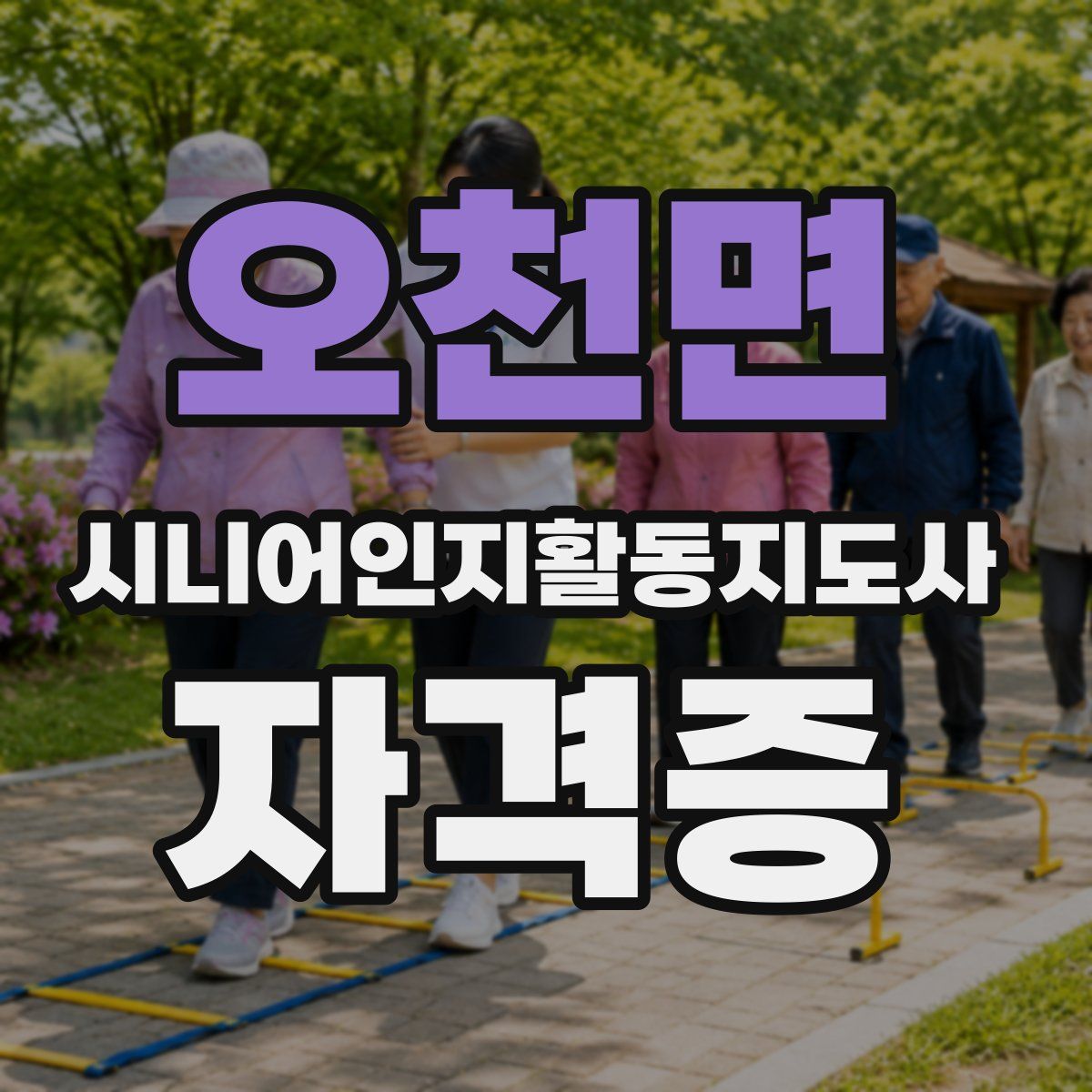 오천면 시니어인지활동지도사 자격증