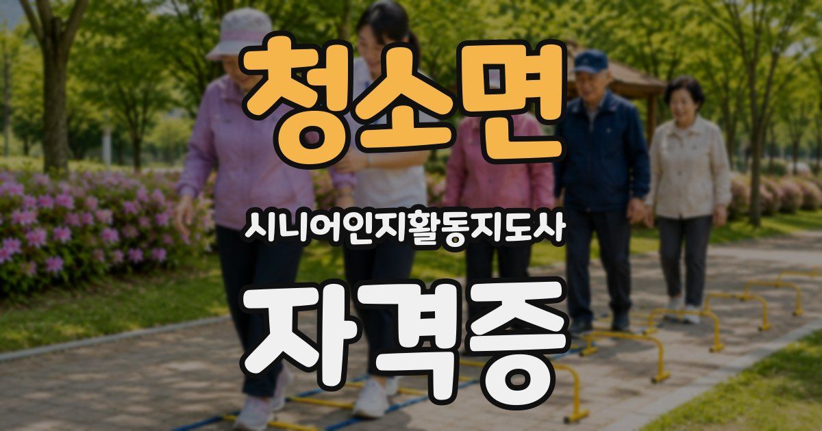 청소면 시니어인지활동지도사 자격증