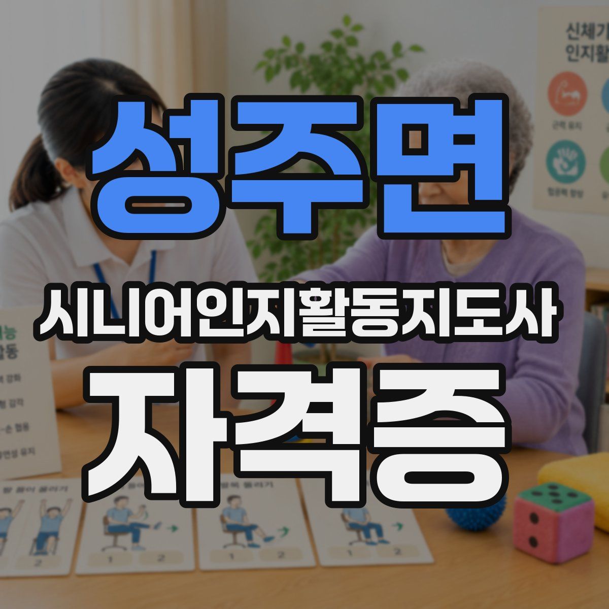 성주면 시니어인지활동지도사 자격증