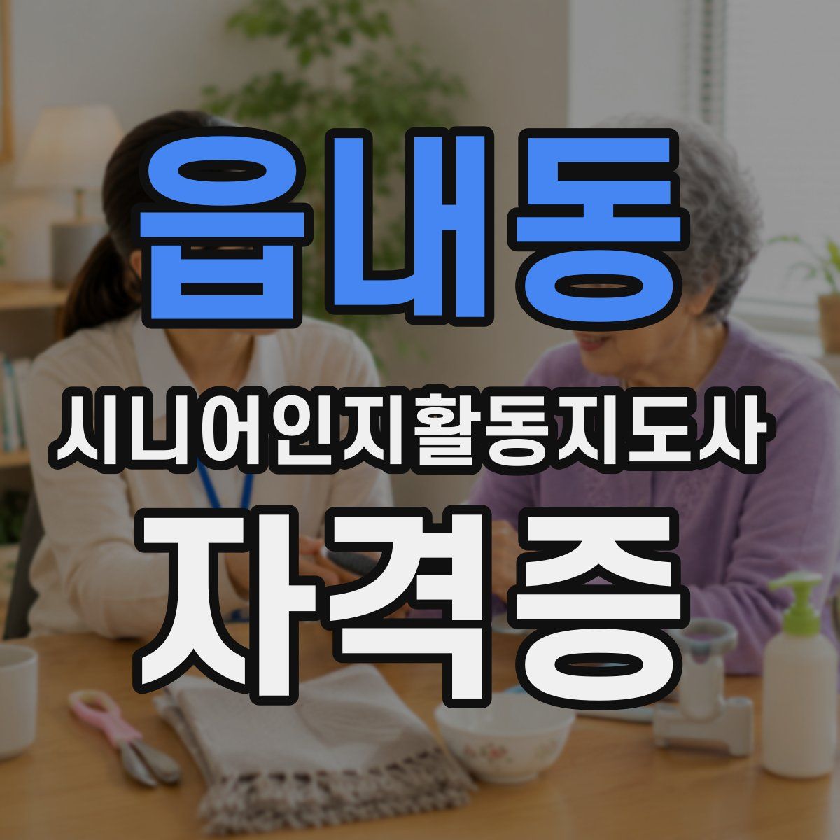 읍내동 시니어인지활동지도사 자격증