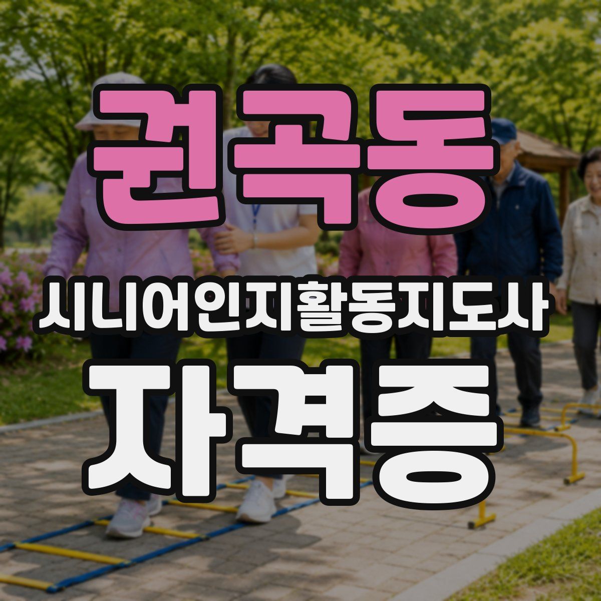 권곡동 시니어인지활동지도사 자격증
