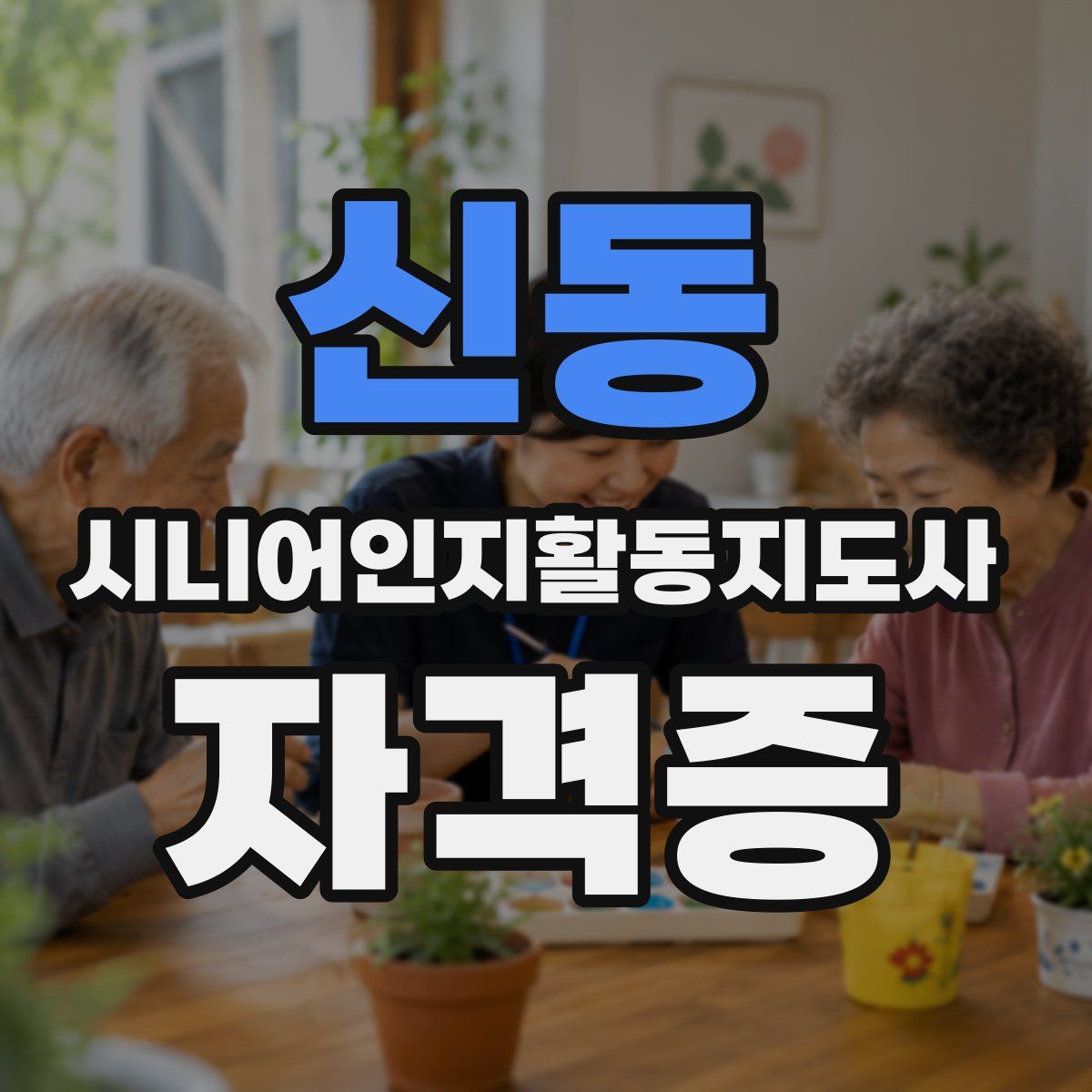 신동 시니어인지활동지도사 자격증