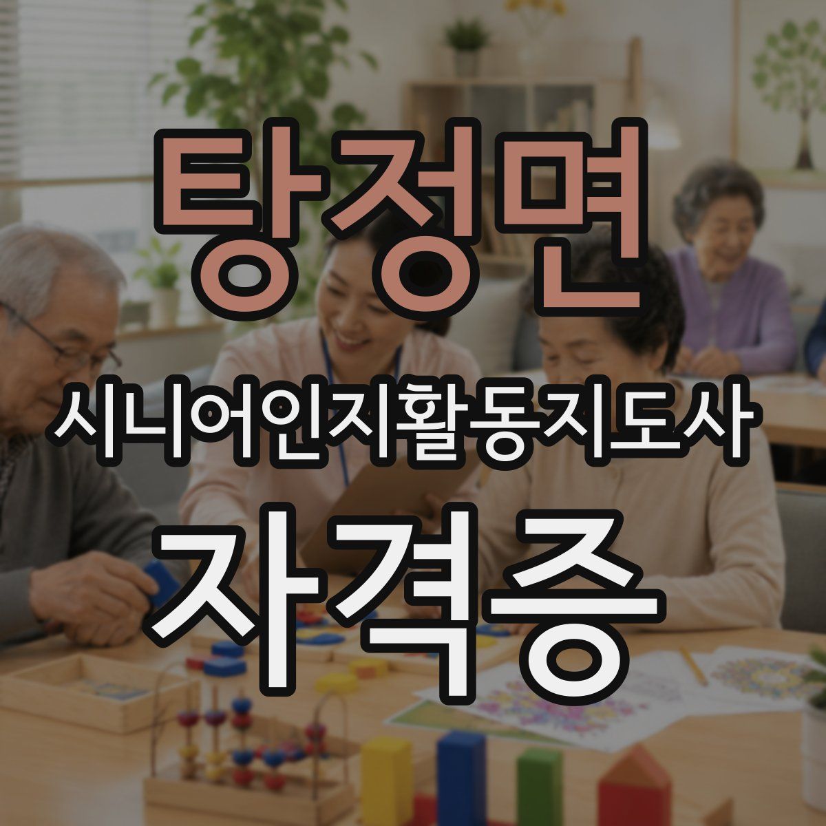 탕정면 시니어인지활동지도사 자격증