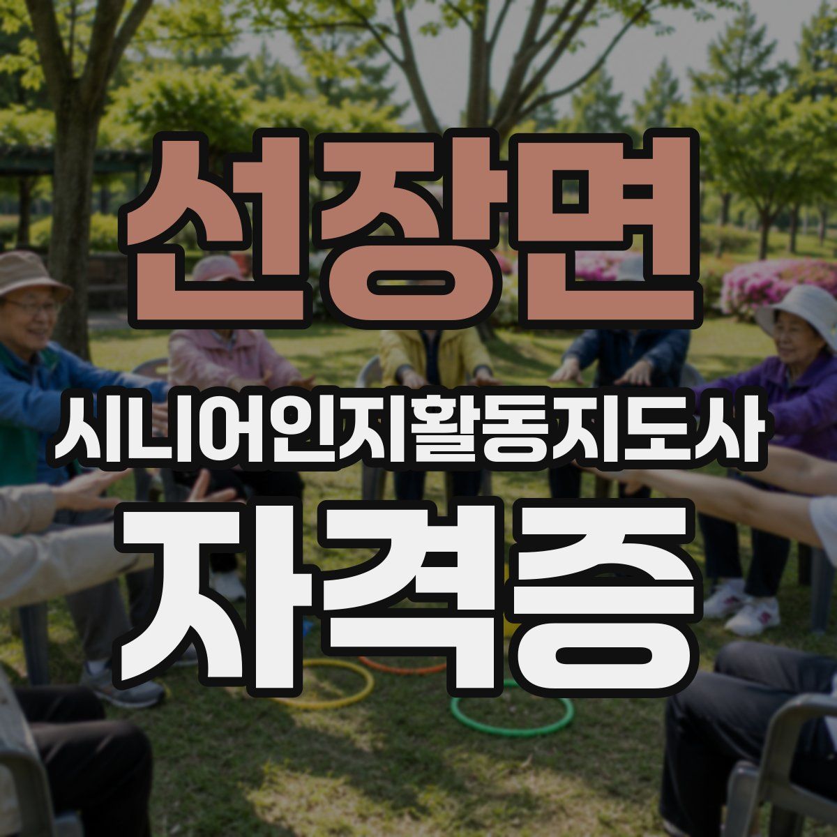 선장면 시니어인지활동지도사 자격증