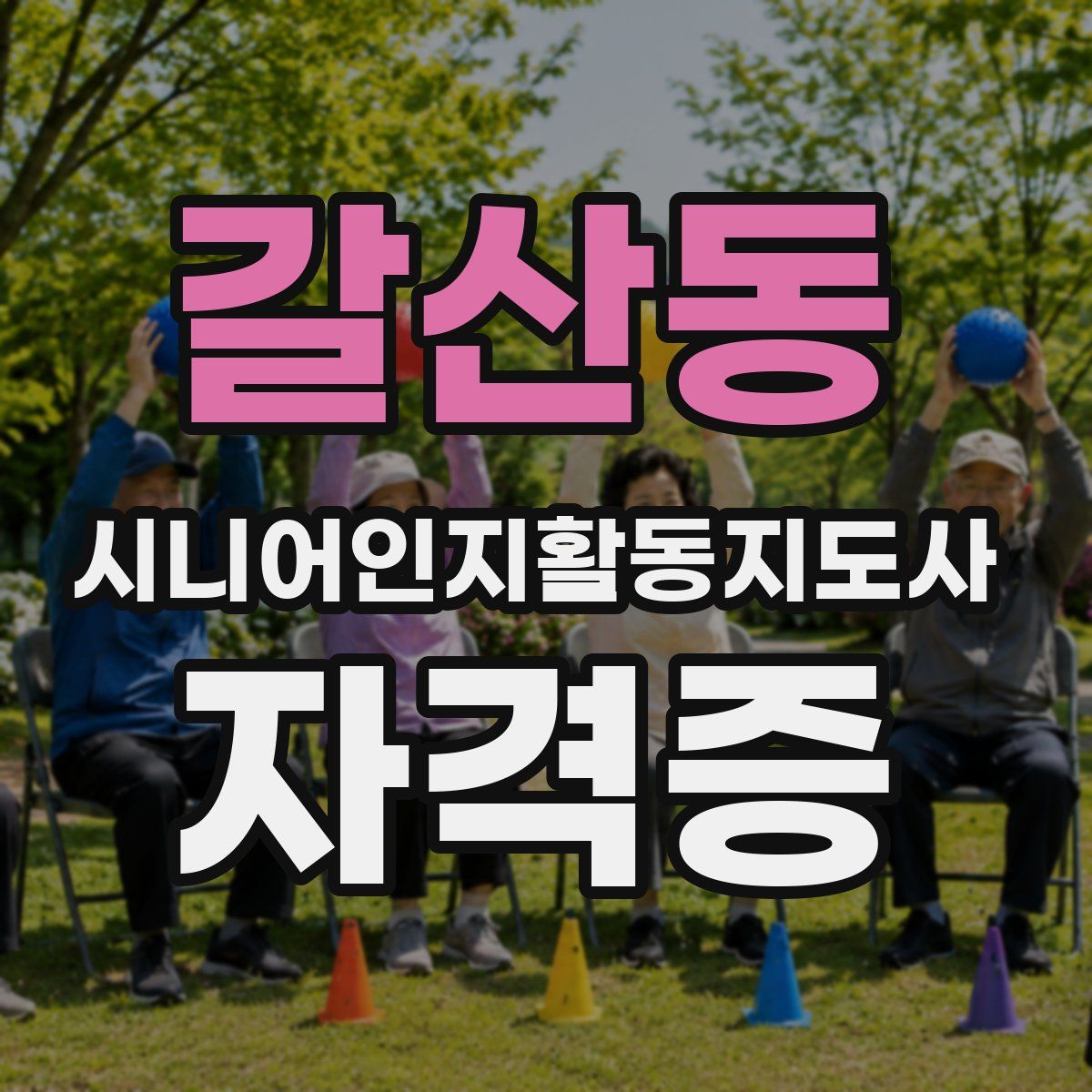 갈산동 시니어인지활동지도사 자격증