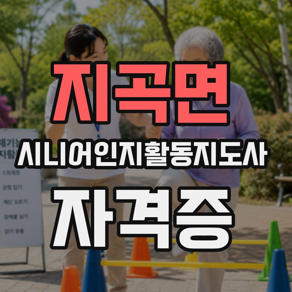 지곡면 시니어인지활동지도사 자격증