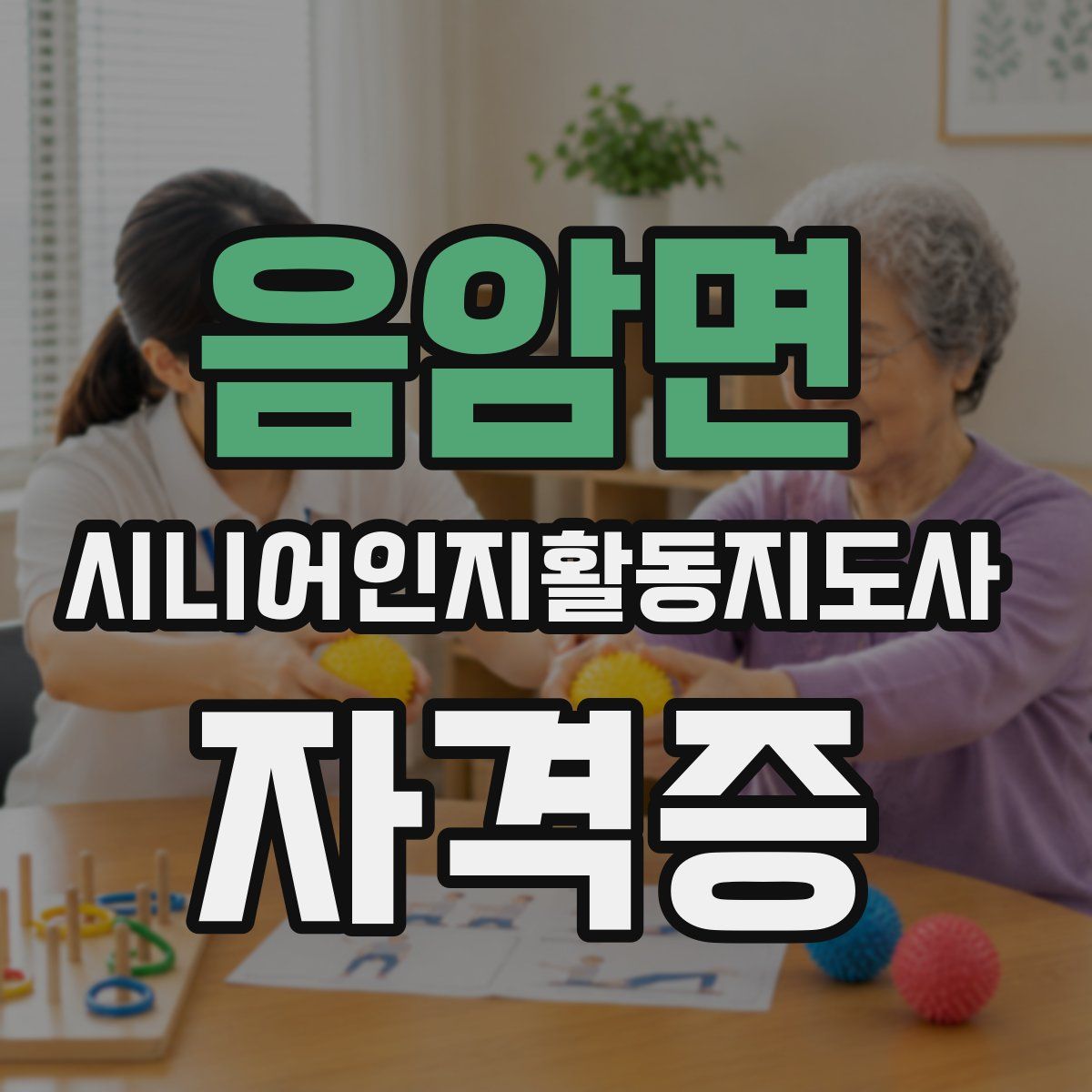 음암면 시니어인지활동지도사 자격증