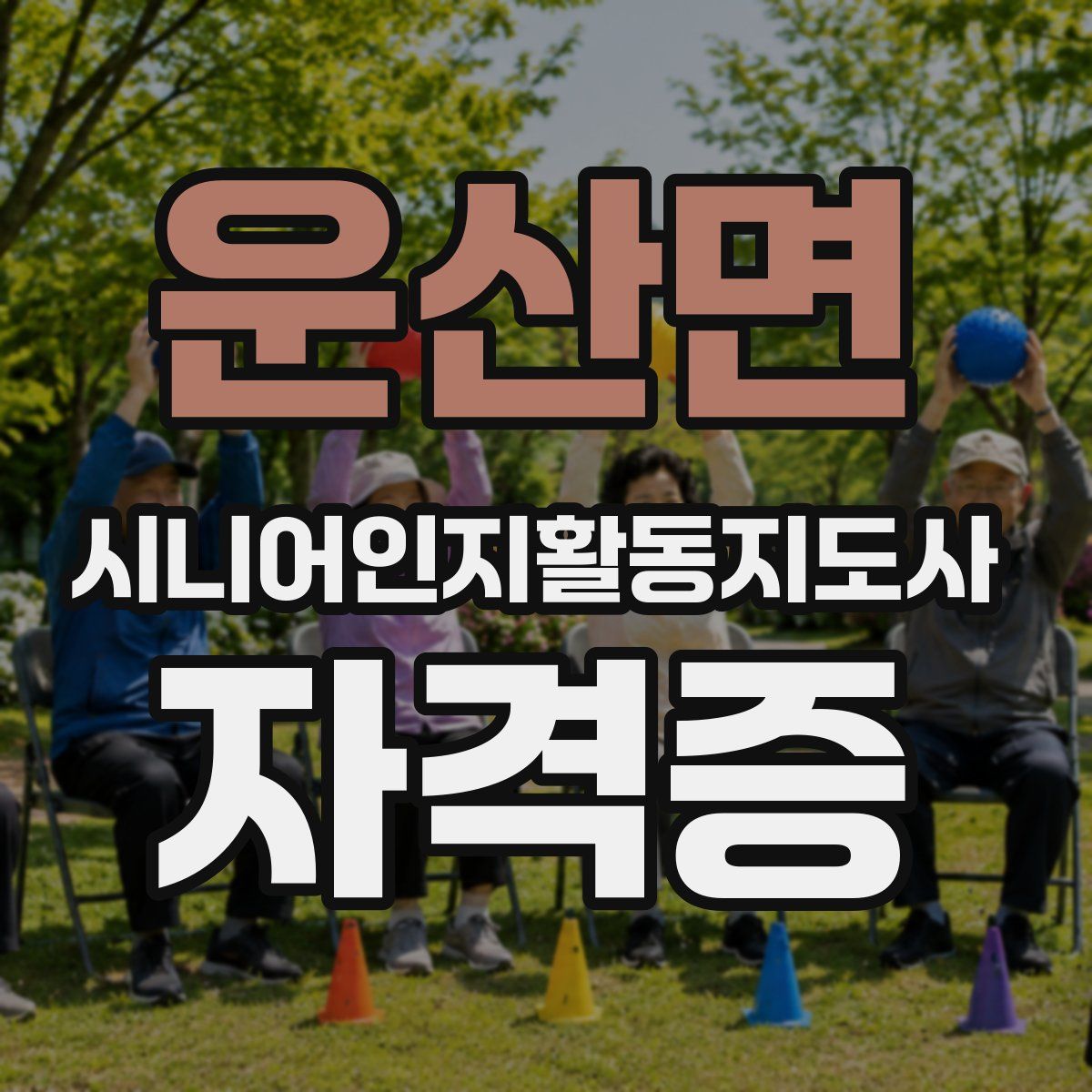 운산면 시니어인지활동지도사 자격증