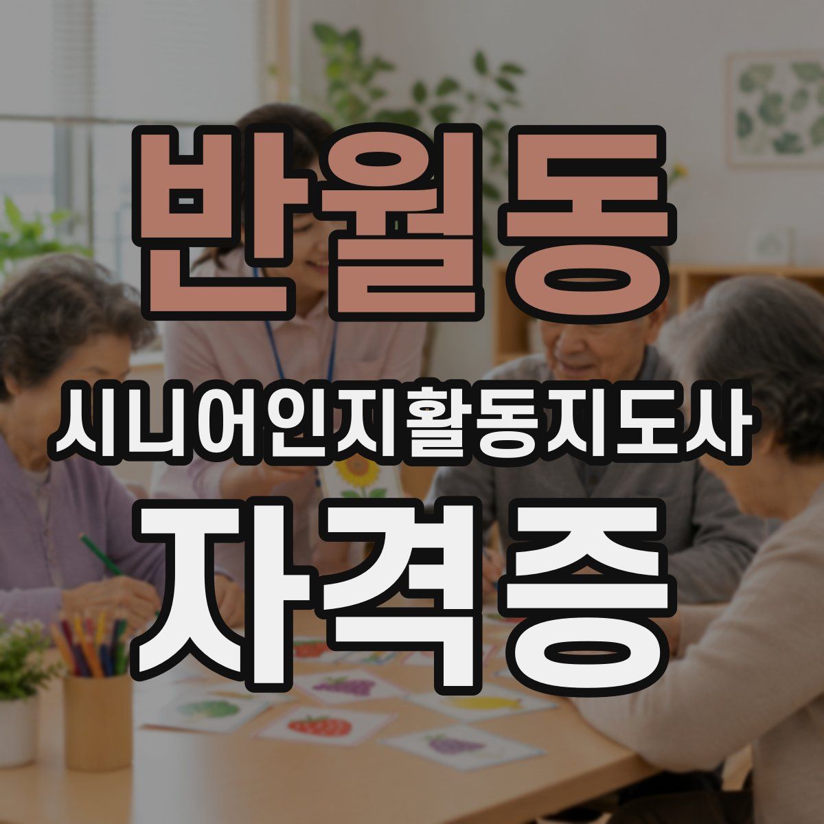 반월동 시니어인지활동지도사 자격증