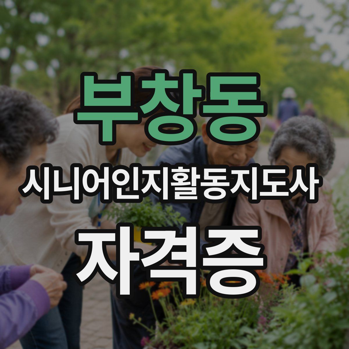부창동 시니어인지활동지도사 자격증