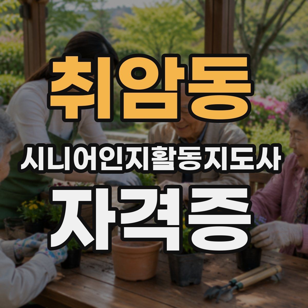 취암동 시니어인지활동지도사 자격증 관련 기관 정보 확인하는 법