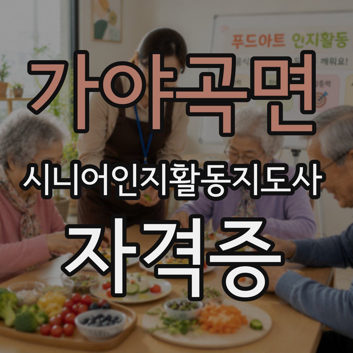 가야곡면 시니어인지활동지도사 자격증