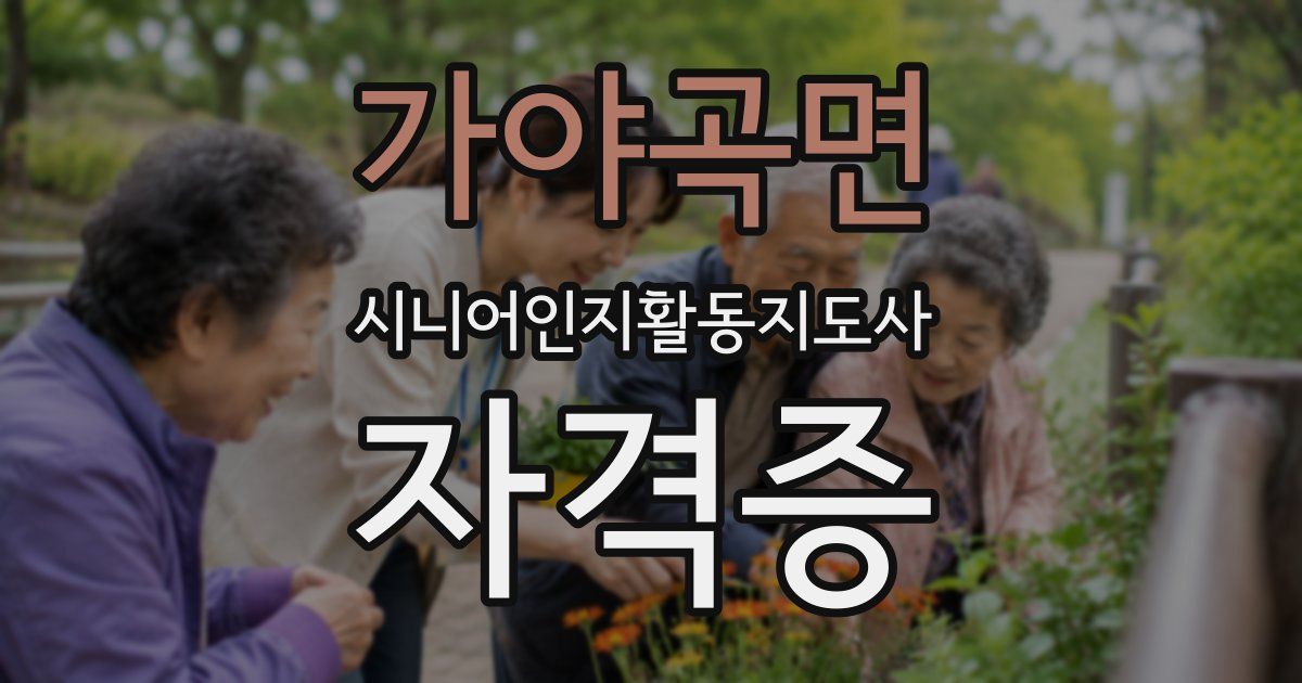 가야곡면 시니어인지활동지도사 자격증