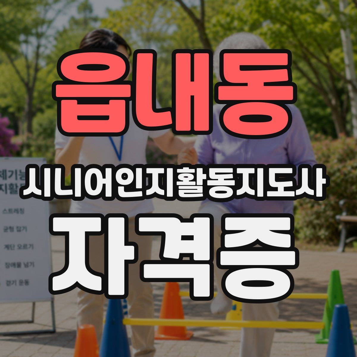읍내동 시니어인지활동지도사 자격증