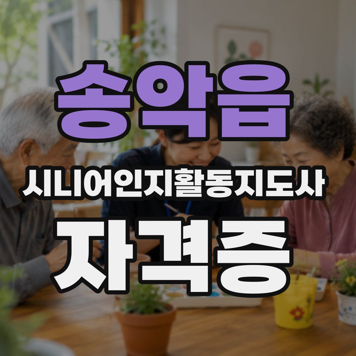 송악읍 시니어인지활동지도사 자격증