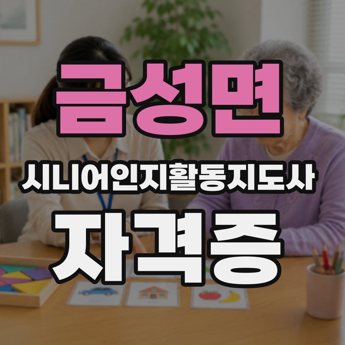 금성면 시니어인지활동지도사 자격증