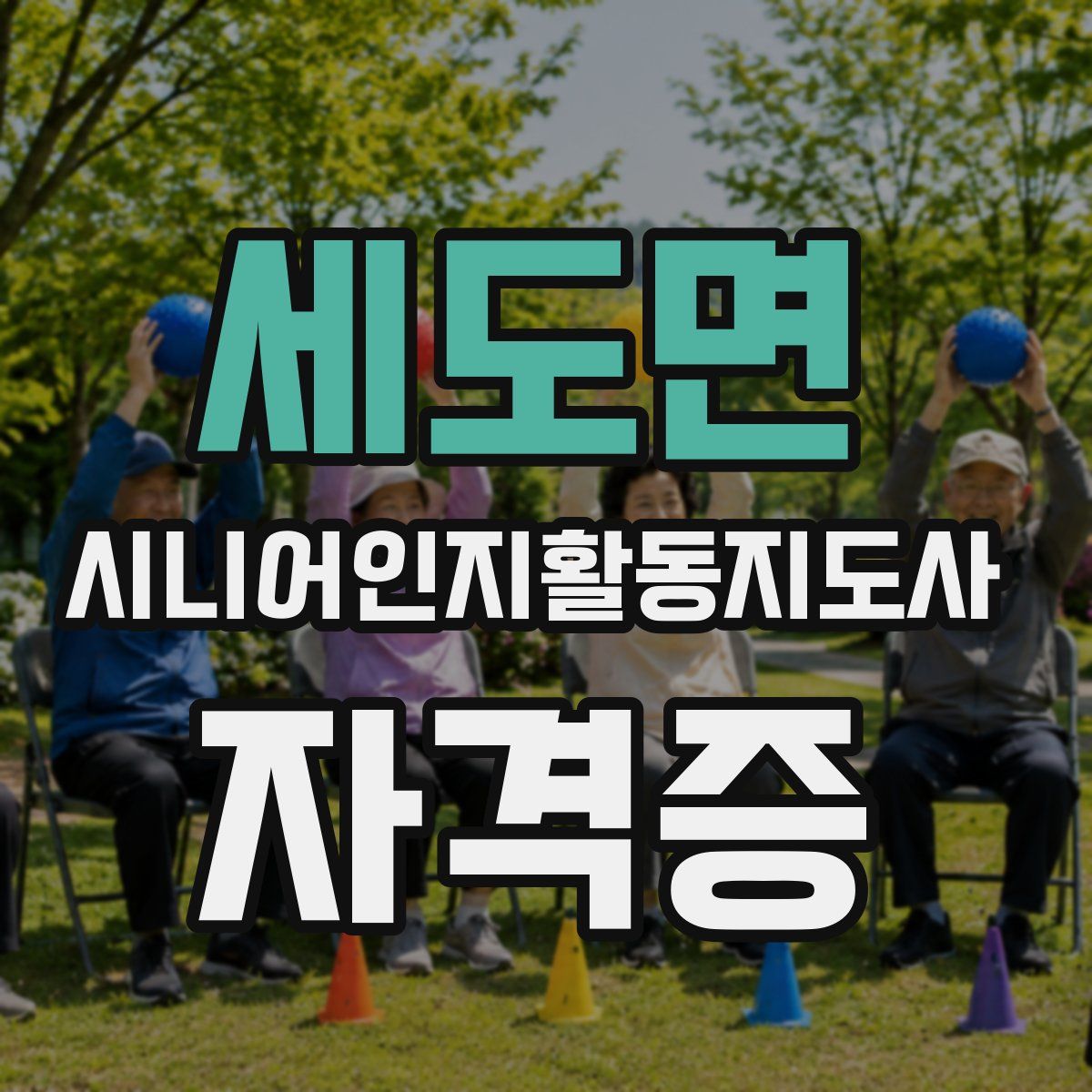 세도면 시니어인지활동지도사 자격증