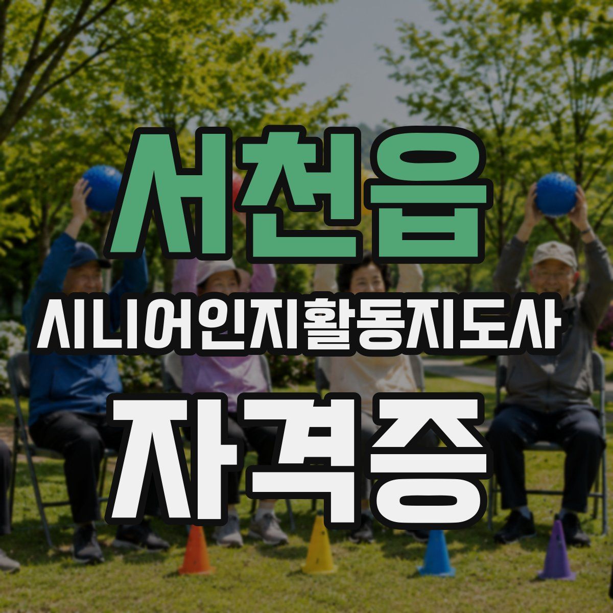 서천읍 시니어인지활동지도사 자격증